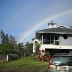 Rainbows and sunshine are common occurrences at our lovely mountain home.  Snuggled into the Kohala Hills, overlooking rolling hills to the ocean, our home is a dream come true.