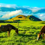 Kohala Mountaint Road - Parker Ranch lands